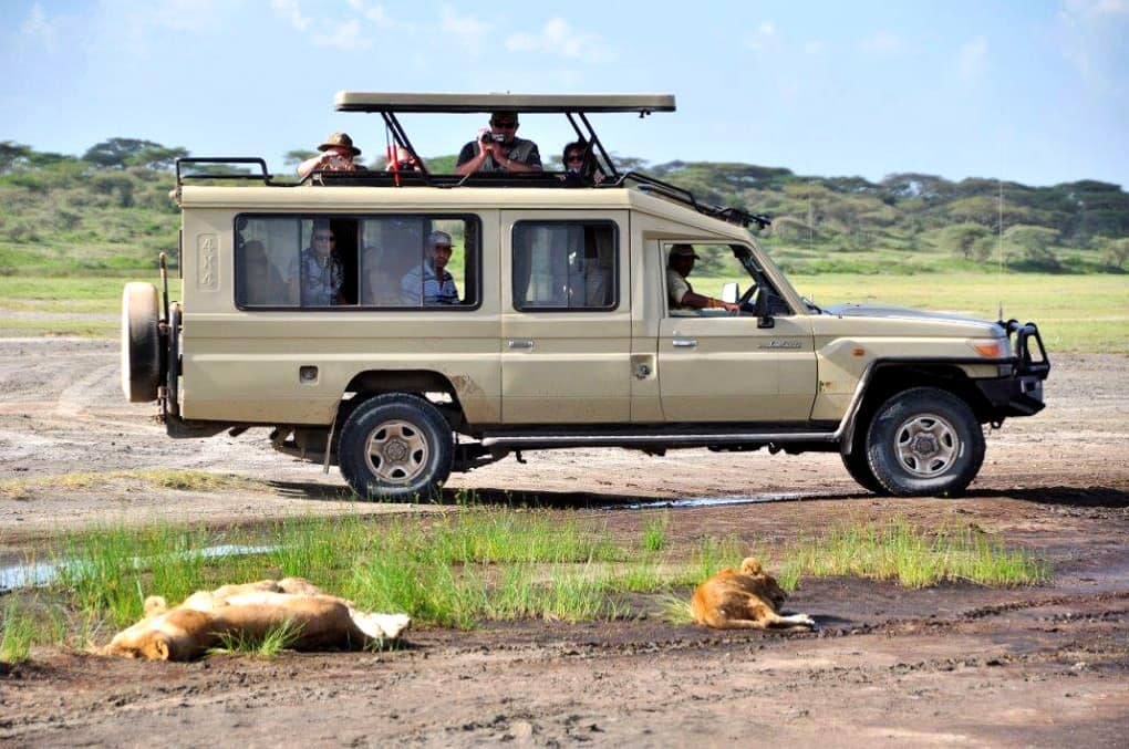 best car to drive across africa