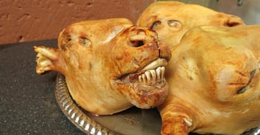 Weirdest food in South Africa