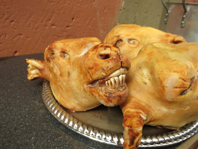 Weirdest food in South Africa